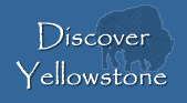 Discover Yellowstone - All about Yellowstone National Park
